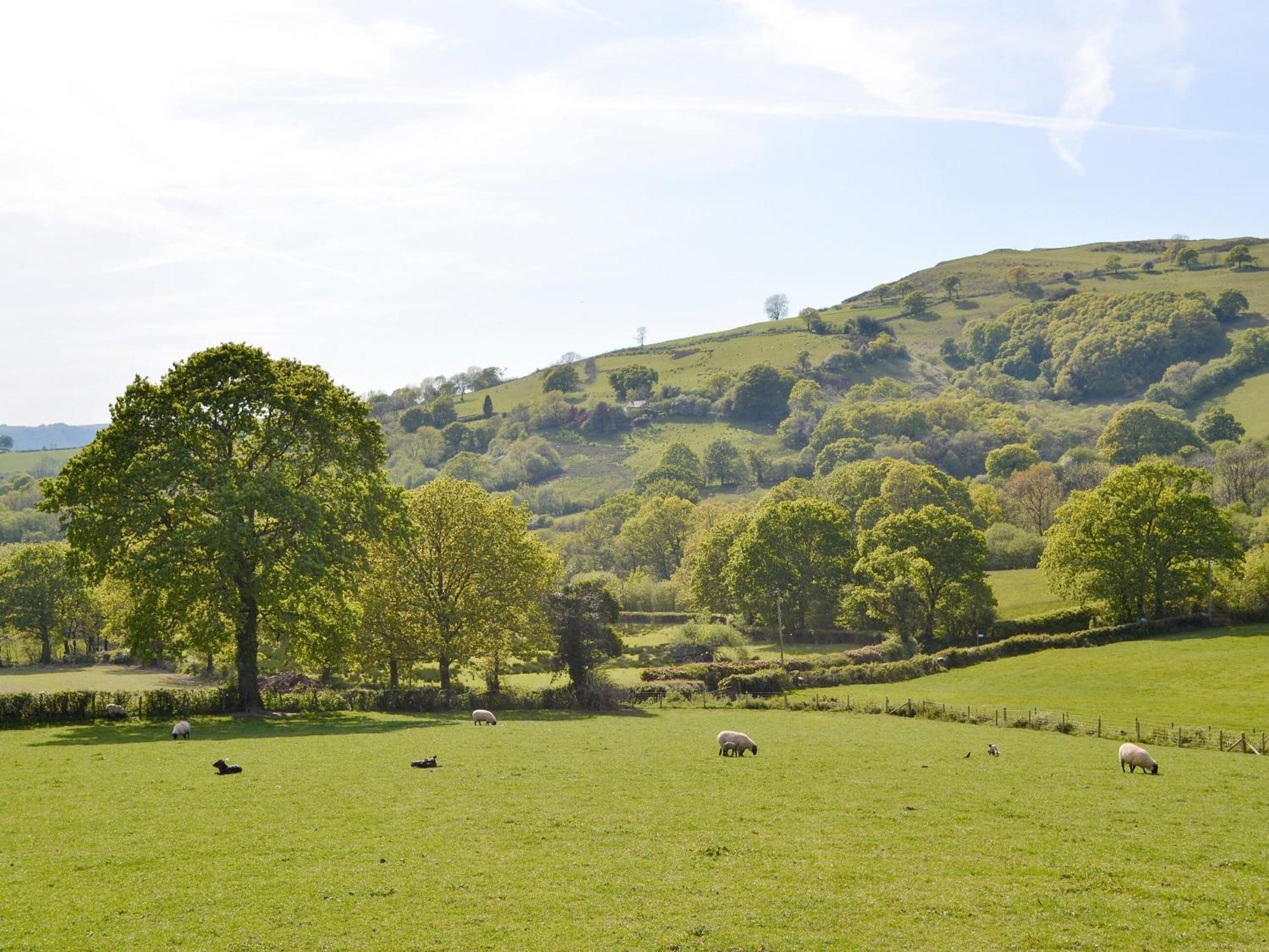 Maes Y Bryn Farmhouse Llanwrda Exterior foto